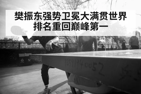 樊振东强势卫冕大满贯世界排名重回巅峰第一